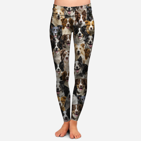 You Will Have A Bunch Of Border Collies - Leggings V1