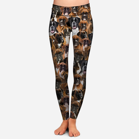 You Will Have A Bunch Of Boxers Dog - Leggings V1