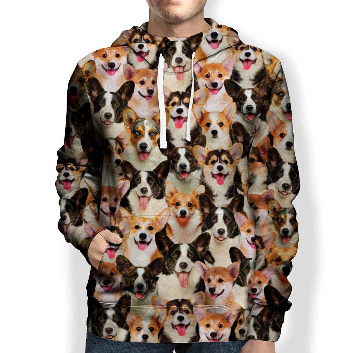 You Will Have A Bunch Of Welsh Corgies - Hoodie V1