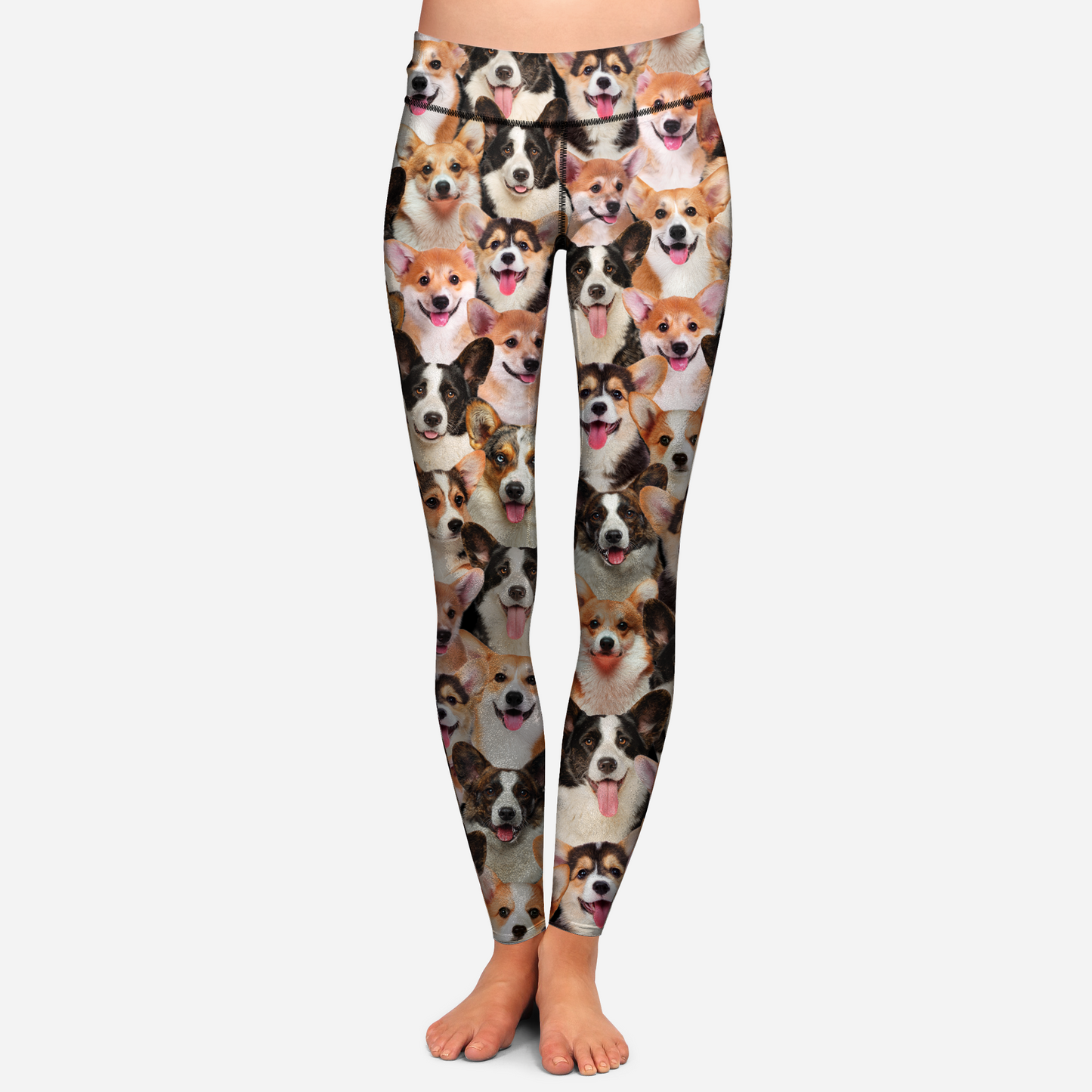 You Will Have A Bunch Of Welsh Corgies - Leggings V1