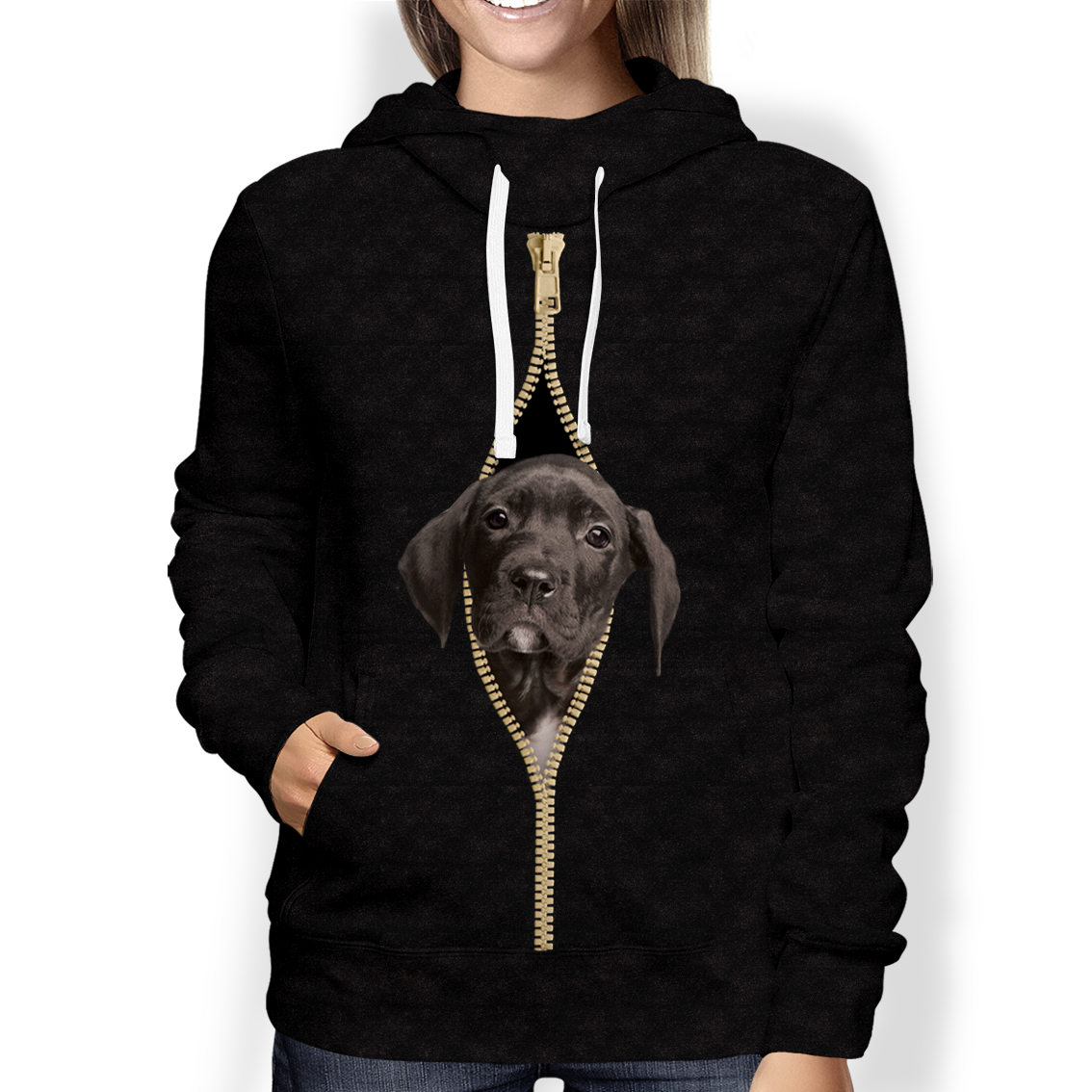 I'm With You - Great Dane Hoodie V3