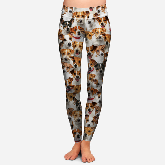 You Will Have A Bunch Of Jack Russell Terriers - Leggings V1