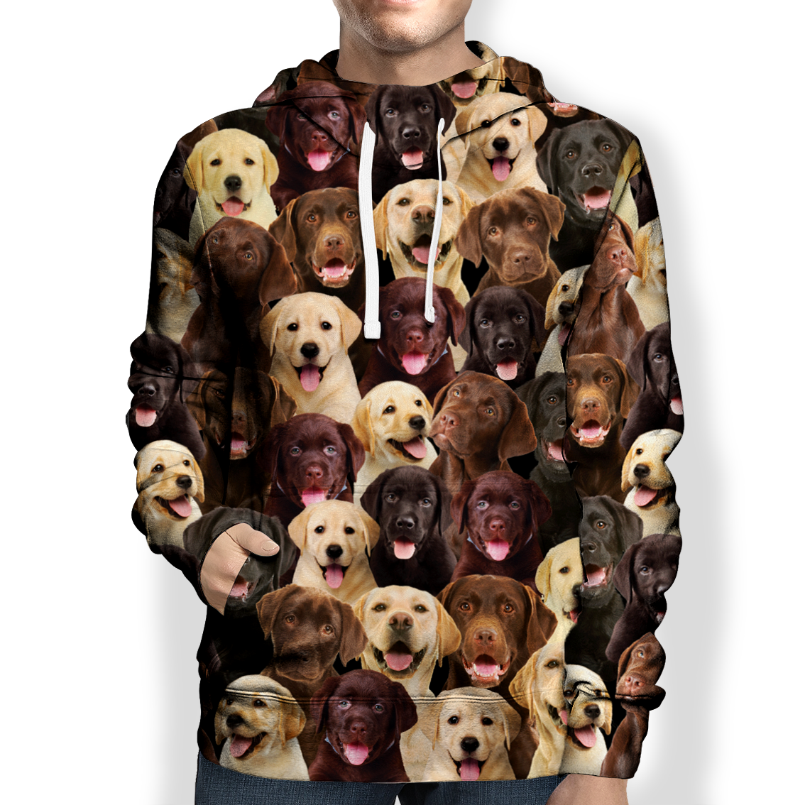 You Will Have A Bunch Of Labradors - Hoodie V1