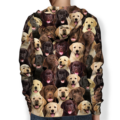 You Will Have A Bunch Of Labradors - Hoodie V1