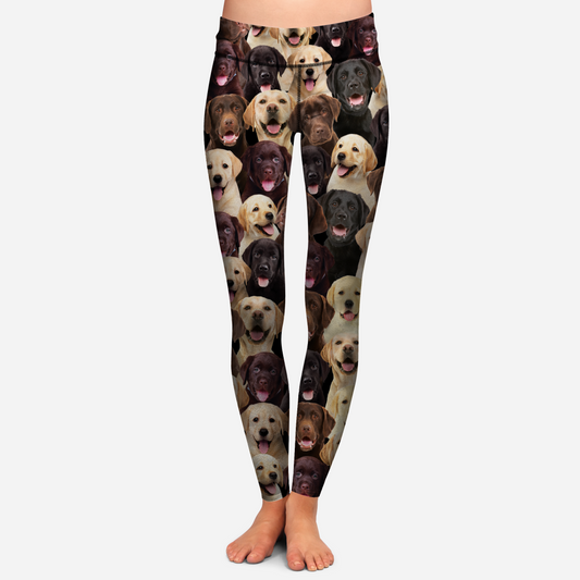 You Will Have A Bunch Of Labradors - Leggings V1