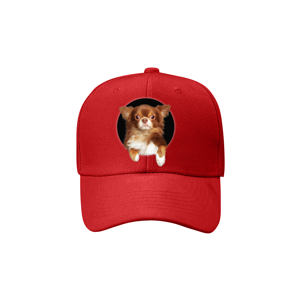 Chihuahua Fan Club - Hat V4
