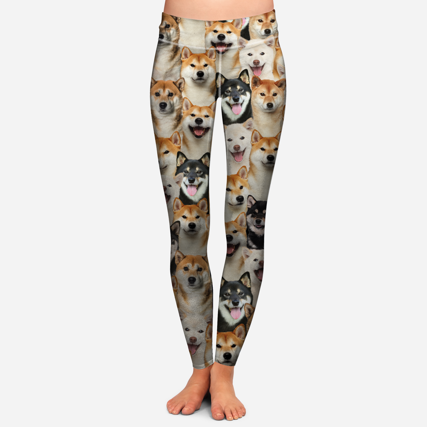 You Will Have A Bunch Of Shiba Inus - Leggings V1