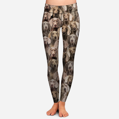 You Will Have A Bunch Of Weimaraners - Leggings V1
