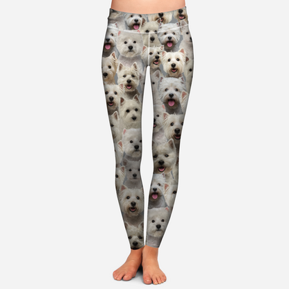 You Will Have A Bunch Of West Highland White Terriers - Leggings V1