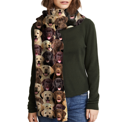 You Will Have A Bunch Of Labradors - Scarf V1
