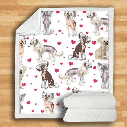 Cute Chinese Crested - Blanket V3