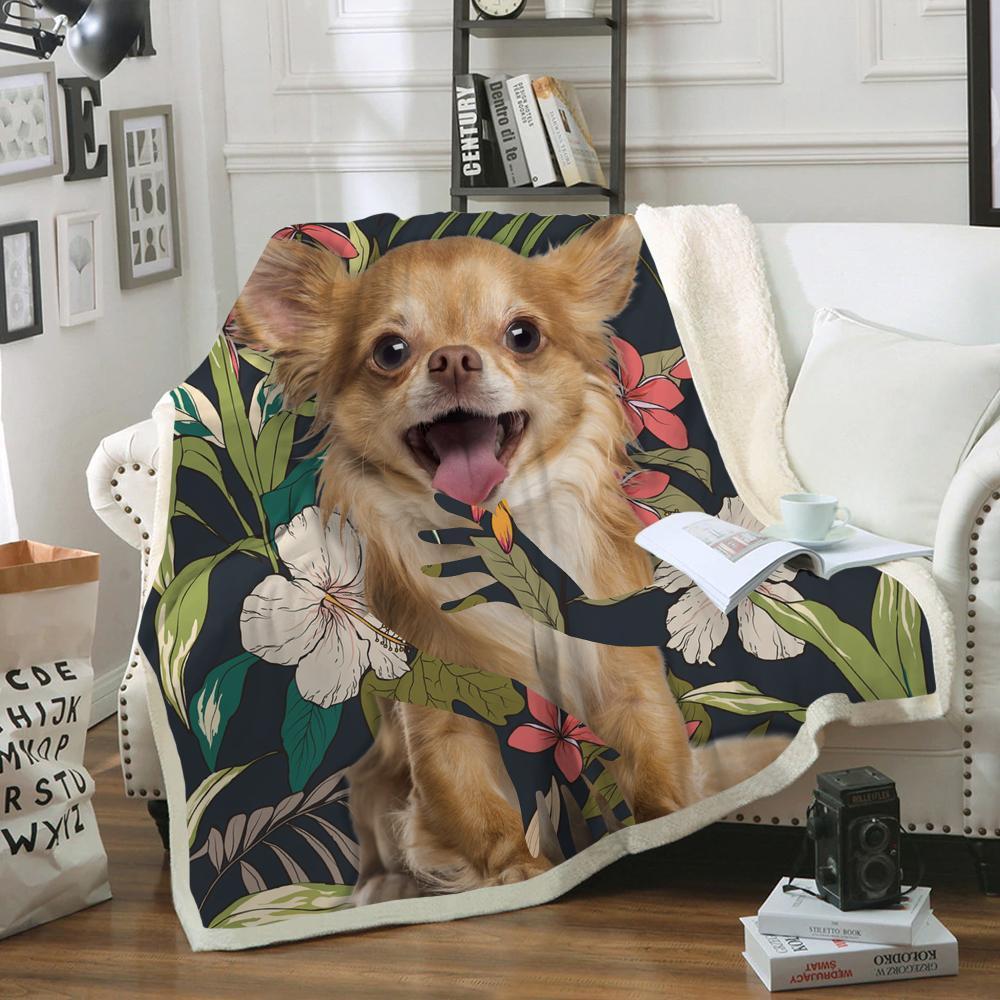 Chihuahua Blanket V2