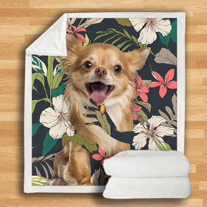 Chihuahua Blanket V2