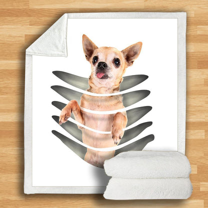 Chihuahua Blanket V3