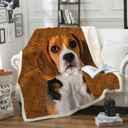 Beagle Blanket V1