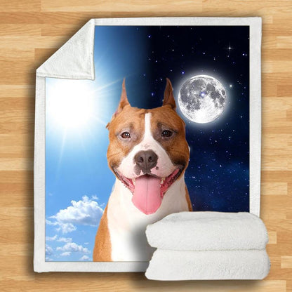 American Staffordshire Terrier Blanket V2