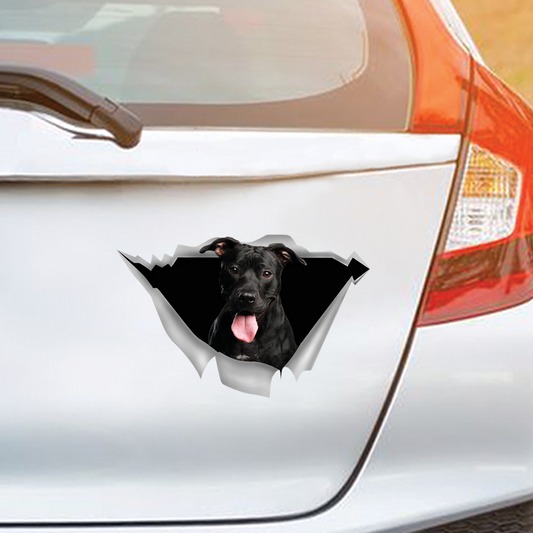 We Like Riding In Cars – American Pit Bull Terrier Auto-/Tür-/Kühlschrank-/Laptop-Aufkleber V3