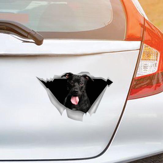 We Like Riding In Cars - American Pit Bull Terrier Car/ Door/ Fridge/ Laptop Sticker V3