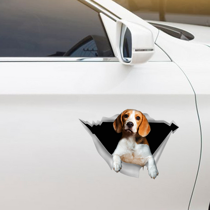 We Like Riding In Cars - Beagle Car/ Door/ Fridge/ Laptop Sticker V1