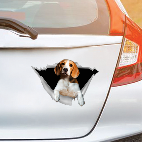 Nous aimons rouler dans les voitures - Beagle Car/ Door/ Fridge/ Laptop Sticker V1