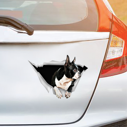 We Like Riding In Cars - Boston Terrier Car/ Door/ Fridge/ Laptop Sticker V1