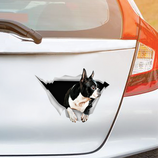 We Like Riding In Cars – Boston Terrier Auto-/Tür-/Kühlschrank-/Laptop-Aufkleber V1