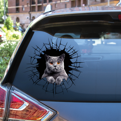 Get In - It's Time For Shopping - British Shorthair Cat Car/ Door/ Fridge/ Laptop Sticker V1