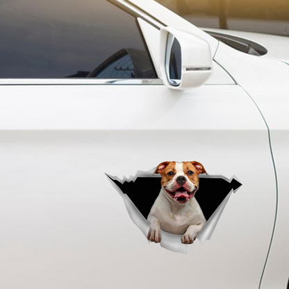 We Like Riding In Cars - American Bulldog Car/ Door/ Fridge/ Laptop Sticker V1