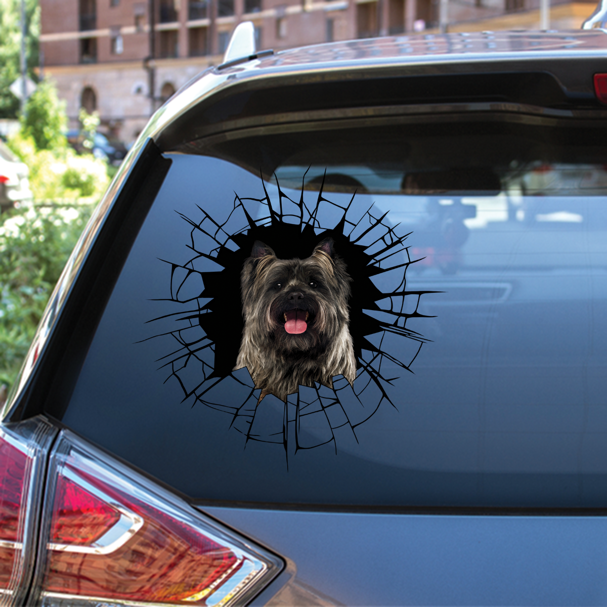 Entrez - Il est temps de faire du shopping - Cairn Terrier Autocollant de voiture/porte/réfrigérateur/ordinateur portable V2