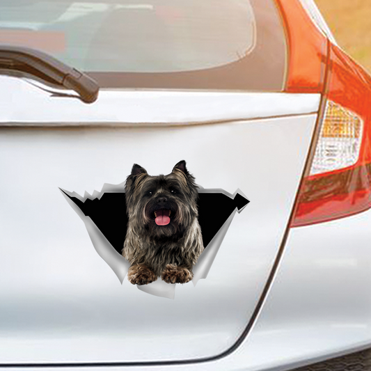 Nous aimons rouler dans les voitures - Cairn Terrier Car/ Door/ Fridge/ Laptop Sticker V2