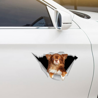 We Like Riding In Cars -  Chihuahua Car/ Door/ Fridge/ Laptop Sticker V1