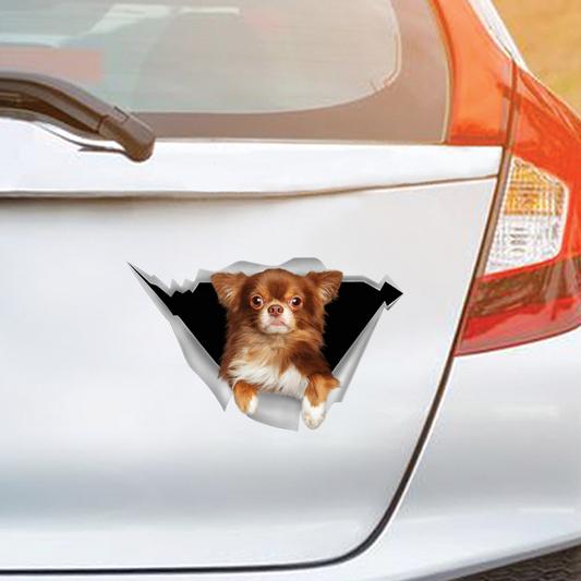 Nous aimons rouler en voiture - Autocollant Chihuahua pour voiture/porte/réfrigérateur/ordinateur portable V1