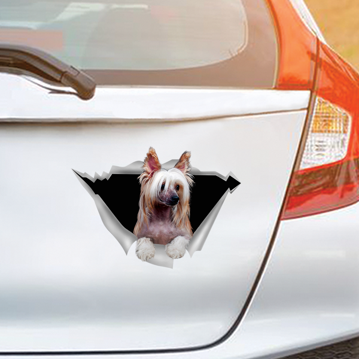 We Like Riding In Cars - Chinese Crested Car/ Door/ Fridge/ Laptop Sticker V1