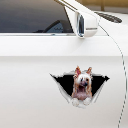 We Like Riding In Cars - Chinese Crested Car/ Door/ Fridge/ Laptop Sticker V1