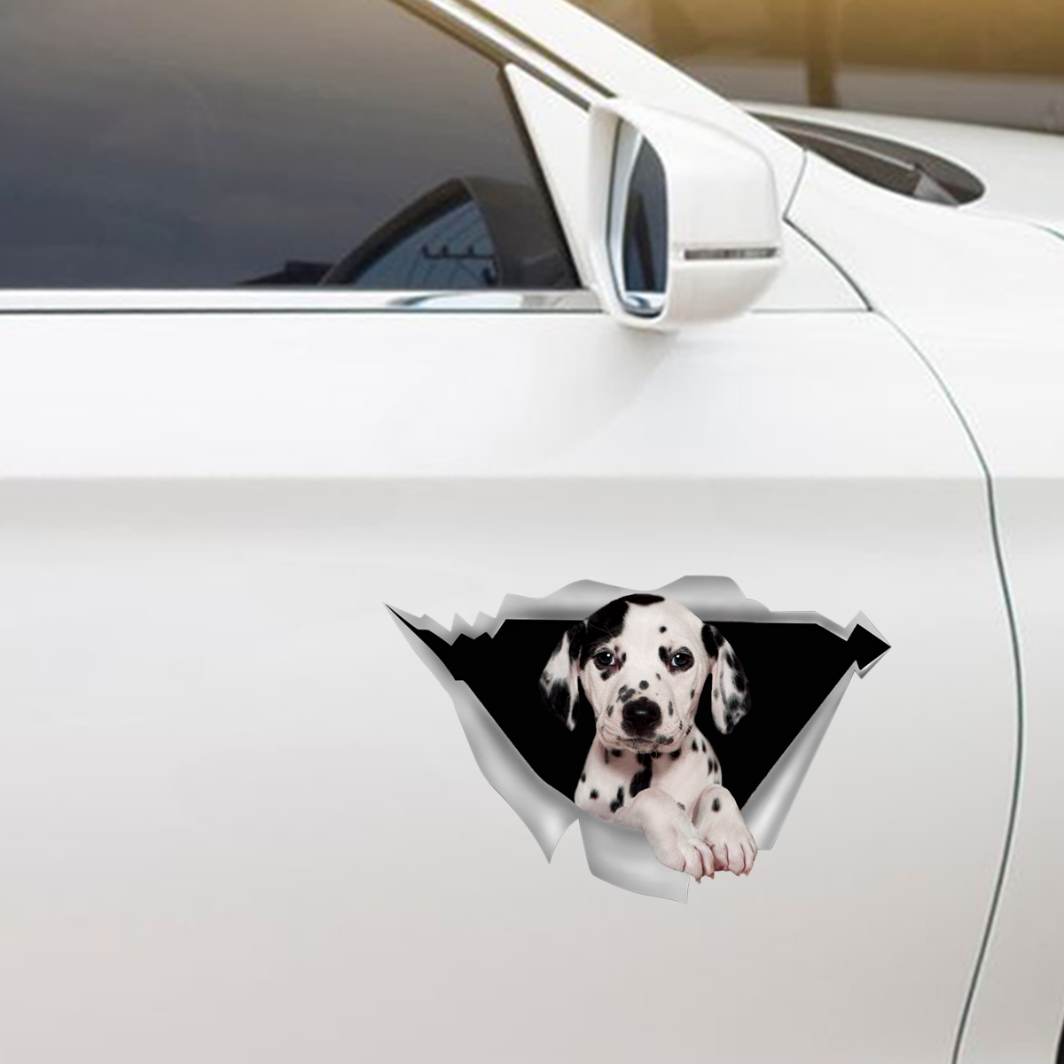 We Like Riding In Cars - Dalmatian Car/ Door/ Fridge/ Laptop Sticker V1