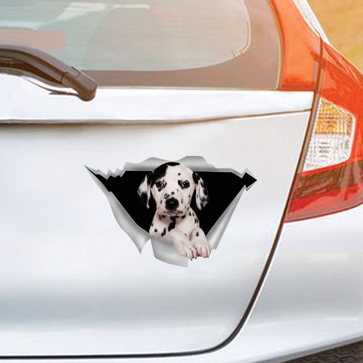 We Like Riding In Cars - Dalmatian Car/ Door/ Fridge/ Laptop Sticker V1