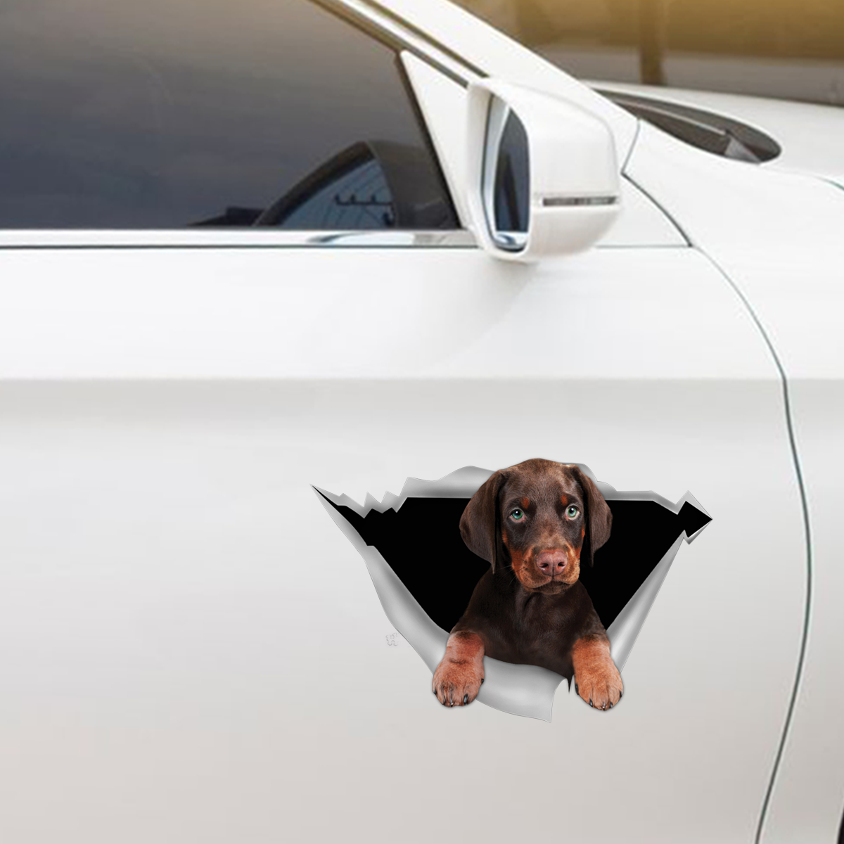 We Like Riding In Cars – Dobermann Pinscher Auto-/Tür-/Kühlschrank-/Laptop-Aufkleber V2