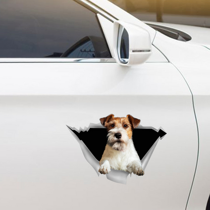 We Like Riding In Cars - Jack Russell Terrier Car/ Door/ Fridge/ Laptop Sticker V2