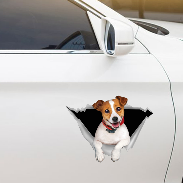 We Like Riding In Cars - Jack Russell Terrier Car/ Door/ Fridge/ Laptop Sticker V1