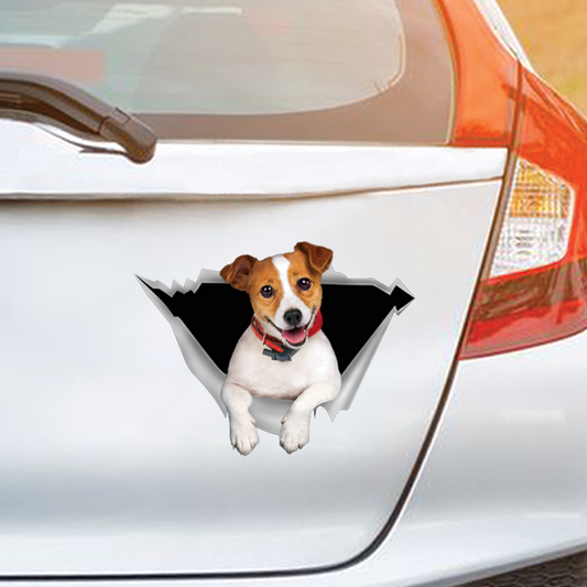 Nous aimons rouler dans les voitures - Jack Russell Terrier Autocollant de voiture/porte/réfrigérateur/ordinateur portable V1