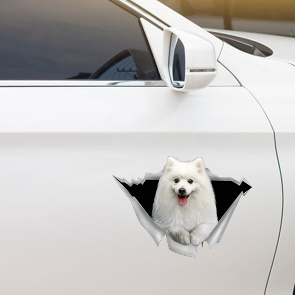 Nous aimons rouler en voiture - Autocollant de voiture/porte/réfrigérateur/ordinateur portable Spitz japonais V1