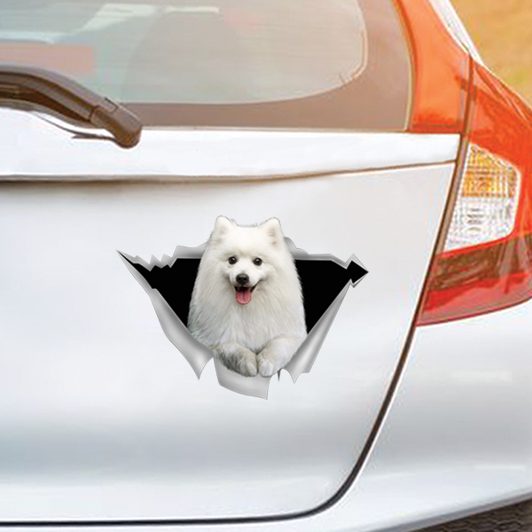 Nous aimons rouler en voiture - Autocollant de voiture/porte/réfrigérateur/ordinateur portable Spitz japonais V1