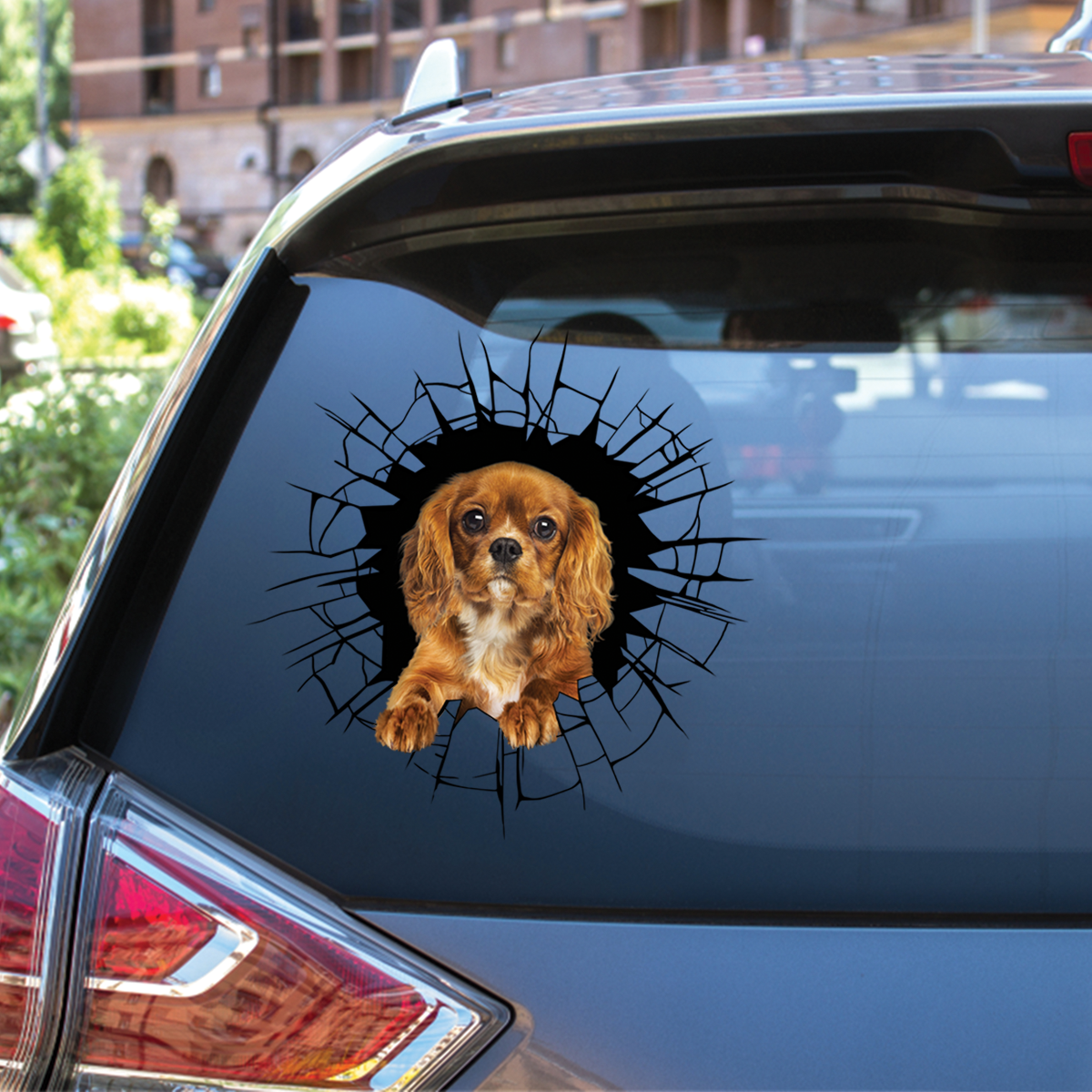 Entrez - Il est temps de faire du shopping - Cavalier King Charles Spaniel Autocollant de voiture/porte/réfrigérateur/ordinateur portable V3