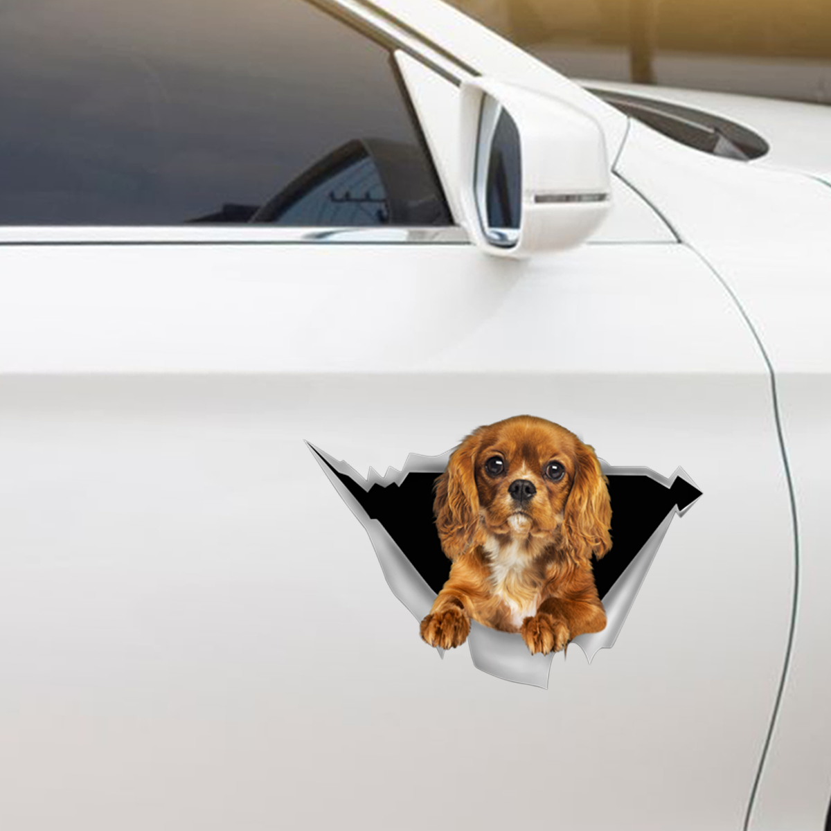 We Like Riding In Cars - Cavalier King Charles Spaniel Car/ Door/ Fridge/ Laptop Sticker V3