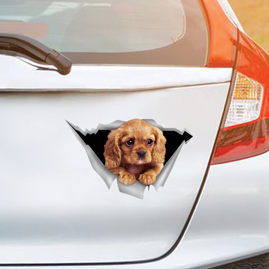 We Like Riding In Cars -  Cavalier King Charles Spaniel Car/ Door/ Fridge/ Laptop Sticker V5