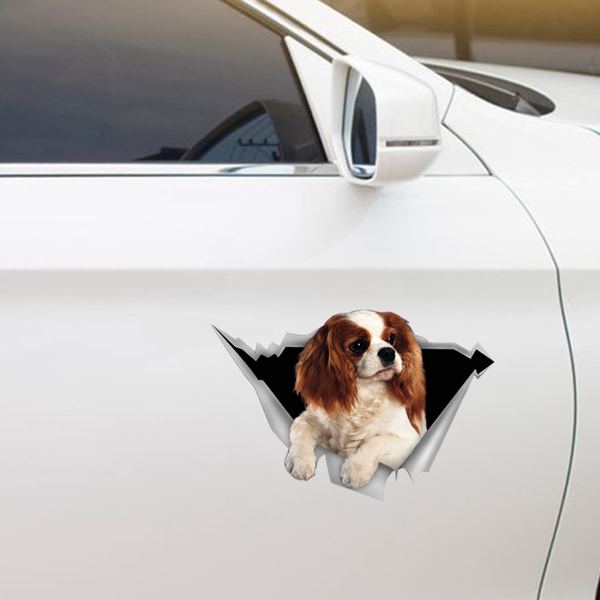 Wir fahren gerne im Auto – Cavalier King Charles Spaniel Aufkleber für Auto/Tür/Kühlschrank/Laptop V1