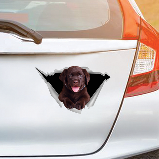 Nous aimons rouler en voiture - Labrador Car/ Door/ Fridge/ Laptop Sticker V1
