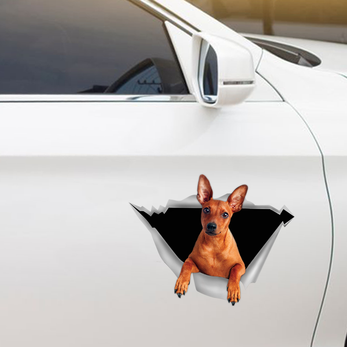 Nous aimons rouler en voiture - Autocollant Pinscher miniature pour voiture/porte/réfrigérateur/ordinateur portable V2