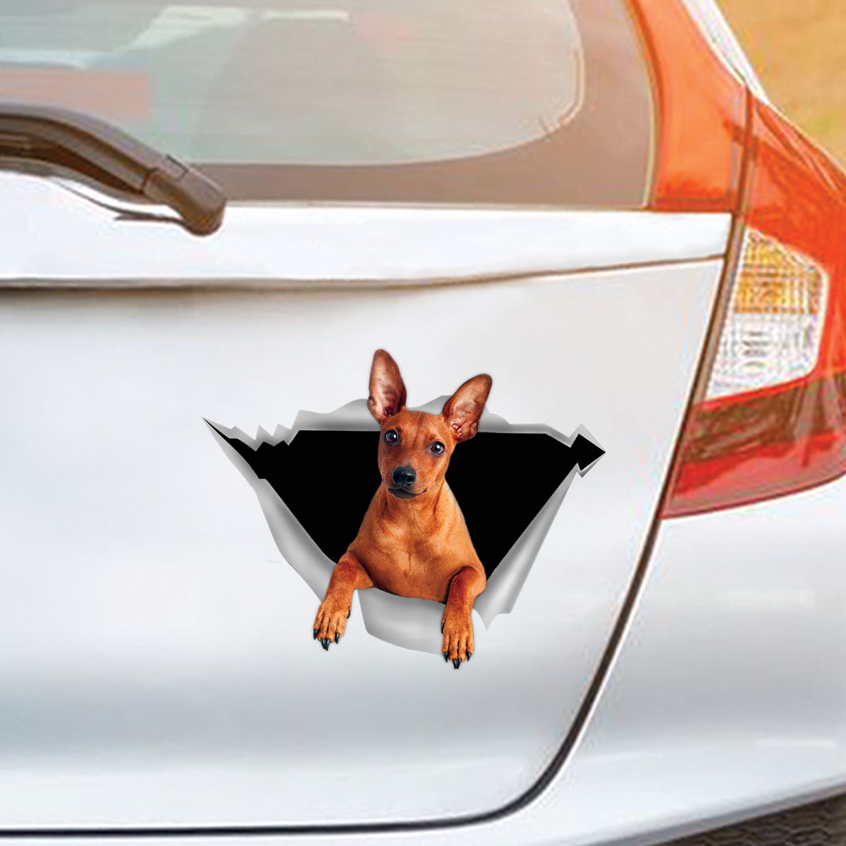 Nous aimons rouler en voiture - Autocollant Pinscher miniature pour voiture/porte/réfrigérateur/ordinateur portable V2