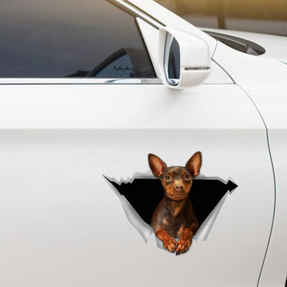 Nous aimons rouler en voiture - Autocollant Pinscher miniature pour voiture/porte/réfrigérateur/ordinateur portable V3